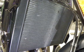 TRIUMPH TRIDENT 660 2025