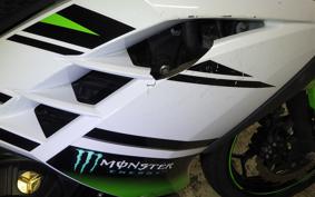 KAWASAKI NINJA 250 EX250L