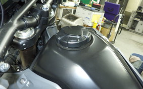 HONDA CRF250L 2007 MD47