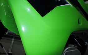 KAWASAKI KLX230R S 2004 LX230F