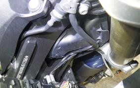 BMW S1000XR 2024