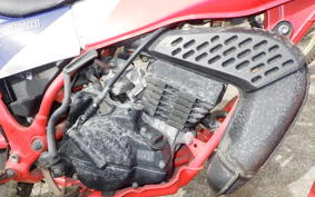 HONDA TLM50 AD07