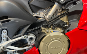 DUCATI PANIGA-REV4S 2025 5D00