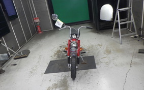 HONDA MONKEY 2022 Z50A