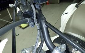 HONDA CRF250L MD38