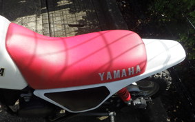 YAMAHA PW50 2023 4X4