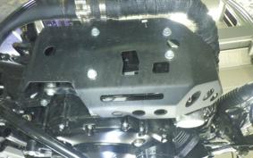 OTHER MUTT250
