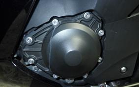 YAMAHA YZF-R1 2010 RN24J