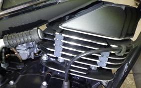 SUZUKI TS185 2015