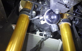 YAMAHA YZF R-3 2025 RH25J