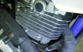 SUZUKI DR250 S SJ44A