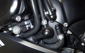SUZUKI GSX-S1000F 2019 GT79B