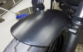 KAWASAKI ELIMINATOR400-3 2024 EL400A