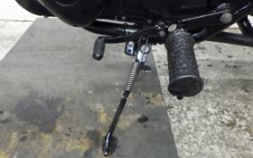 KAWASAKI ESTRELLA 2025 BJ250A