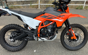 KTM 390Enduro R J1J40