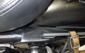 HARLEY XL883N 2020