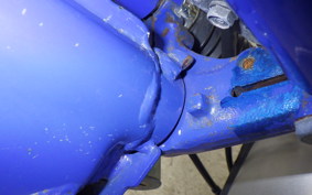 HONDA CL50 BENLY 2024 CD50