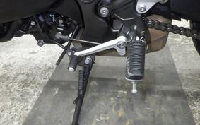 KAWASAKI Z900RS CAFE 2024 ZR900K