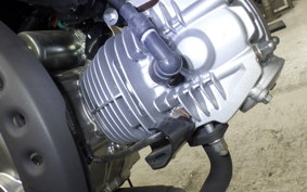 HONDA MONKEY 125 JB03