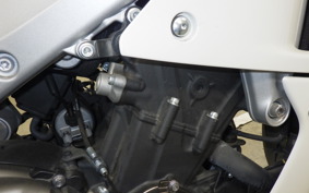YAMAHA XSR900 GP 2024 RN96J