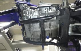 YAMAHA WR250X DG15J