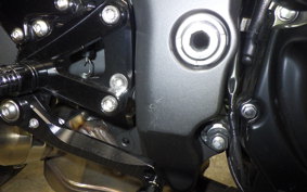 KAWASAKI NINJA 1000SX 2024 ZXT02K