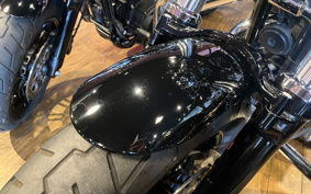 HARLEY XL1200XS 2018 LR3
