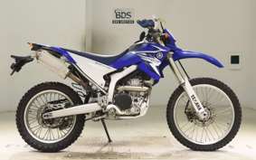 YAMAHA WR250R DG15J