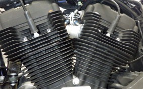 HARLEY XL1200NS 2019