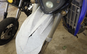 YAMAHA WR250F E CG16W