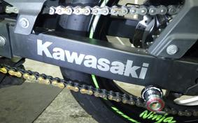 KAWASAKI NINJA 250 2021 EX250L