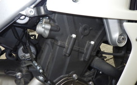 YAMAHA XSR900 GP 2024 RN96J