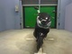 Фото Honda PCX 125 2014 с японского аукциона