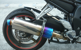 YAMAHA FZ1 FAZER 2010 RN21J