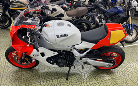 YAMAHA XSR900 GP 2024 RN96J