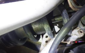 YAMAHA DT50 2024 17W