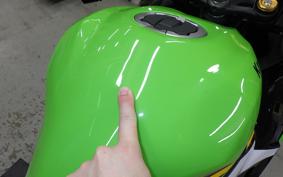 KAWASAKI ZX-4RR 2025 ZX400P