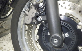 KAWASAKI W800 STREET 2019 EJ800B
