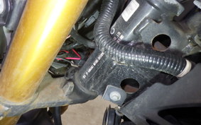 KAWASAKI Z125 PRO 2024 BR125H