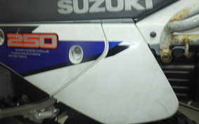 SUZUKI DJEBEL 250 GPS 2007 SJ45A