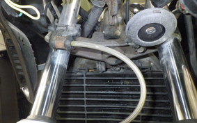 HONDA XELVIS 2024 MC25