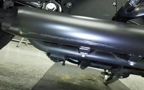 HARLEY XL883N 2010