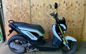 HONDA ZOOMER-X JF38