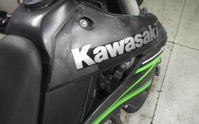 KAWASAKI KLX250 Gen.2 2024 LX250S