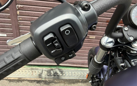 HARLEY FXBB 2026 YJ9