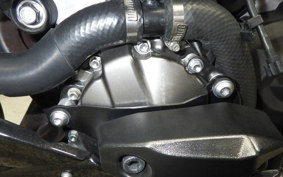 KAWASAKI NINJA ZX-6R A 2020 ZX636G