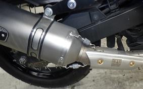 KAWASAKI VERSYS 250 A 2025 LE250D