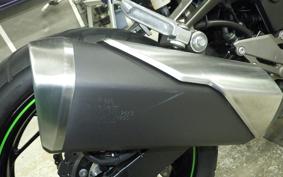 KAWASAKI NINJA 250 ABS 2020 EX250L