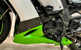 KAWASAKI NINJA ZX-10R 2013 ZXCE11