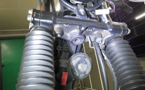 YAMAHA TRICKER DG10J